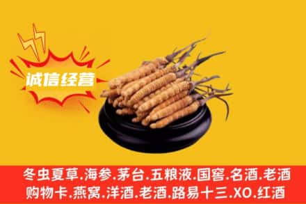 秦皇岛市卢龙回收冬虫夏草